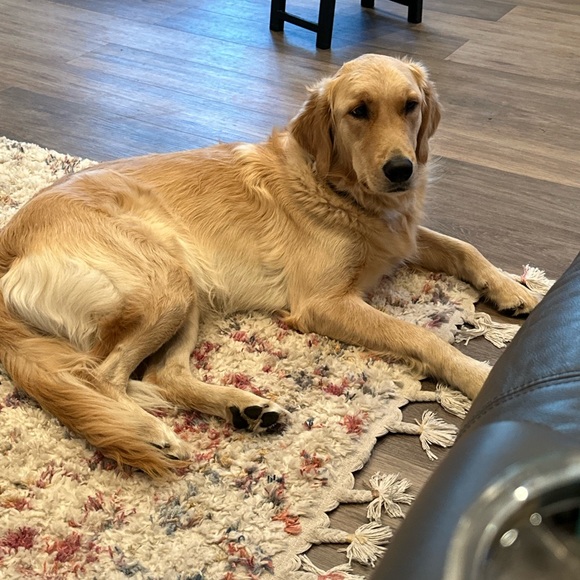 Meet your Posher, Juls - Picture 2 of 3